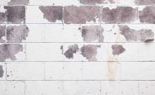 5 Most Common Tile And Grout Problems