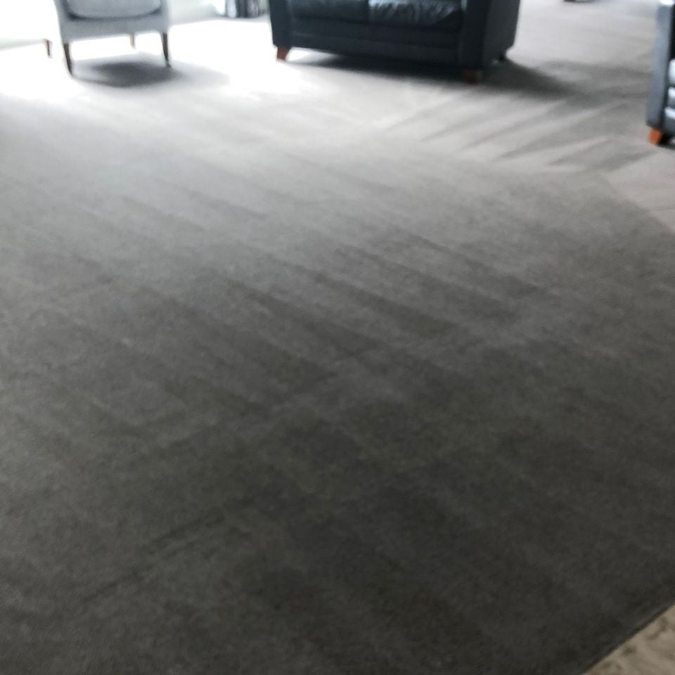 Carpet Cleaning