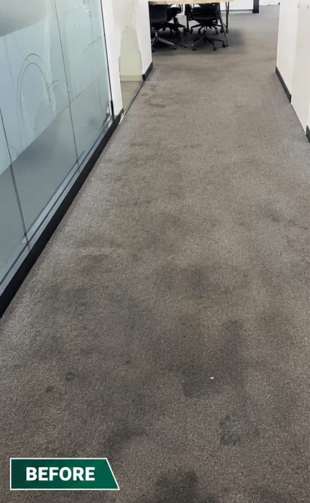 Commercial-Carpet-cleaning-Before