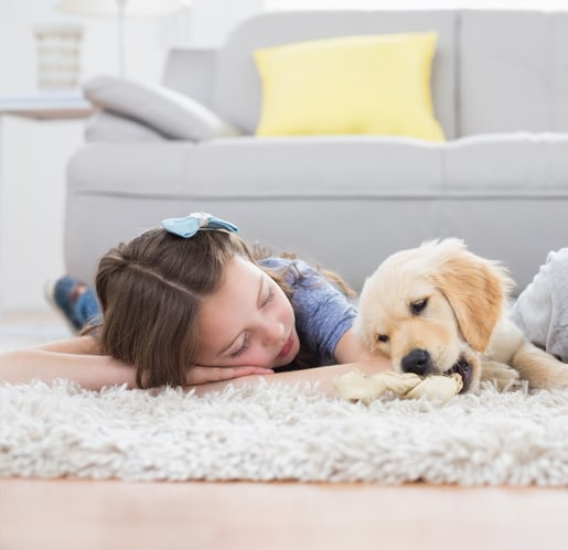Residential Carpet Cleaning
