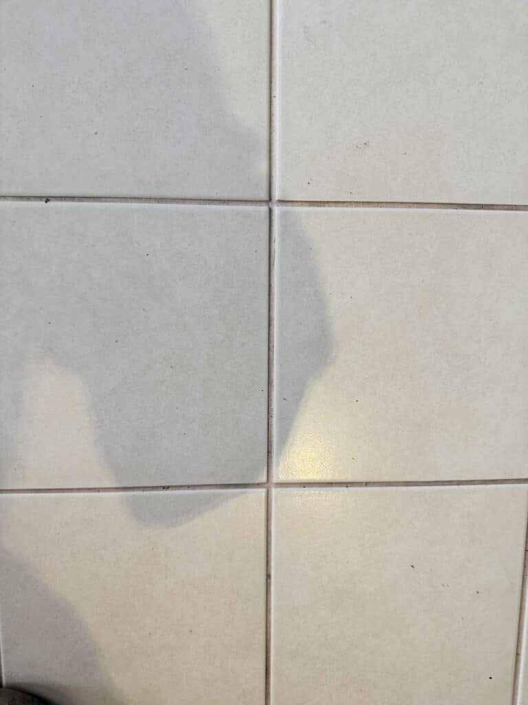 Grout after Spot Remover