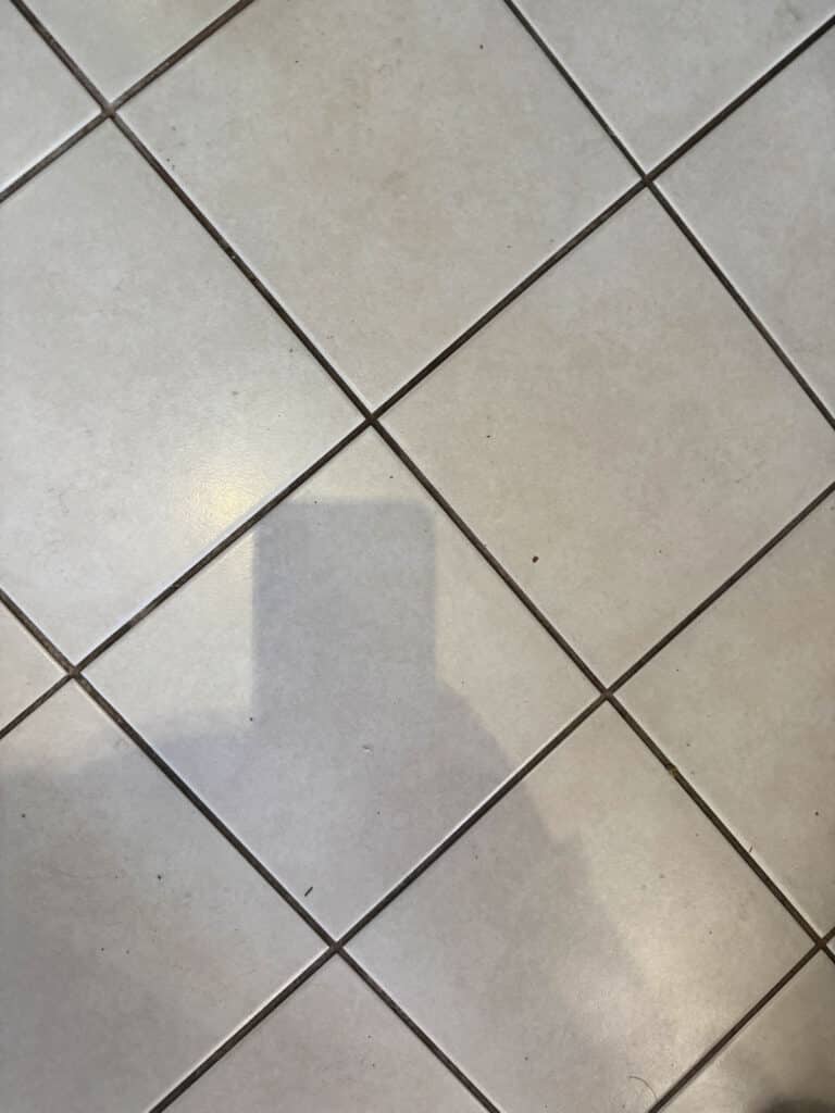 Grout before Spot Remover