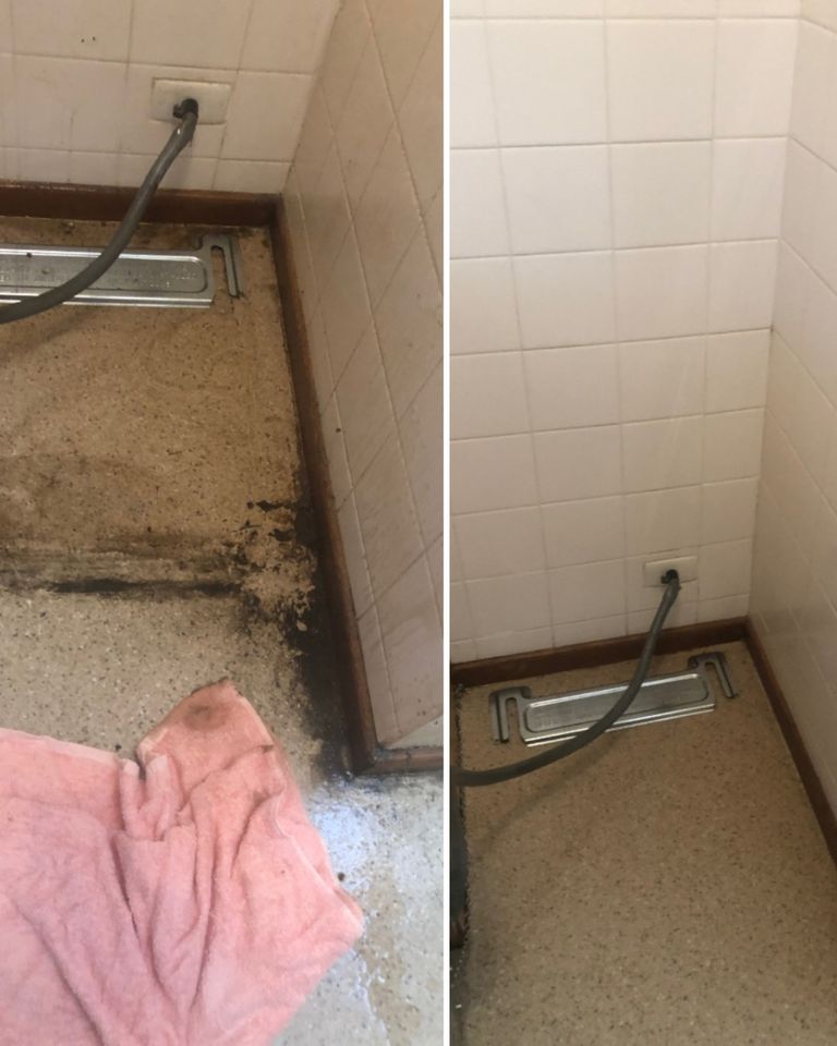 Mould and Sewage Cleanup Services Adelaide OSHEAS