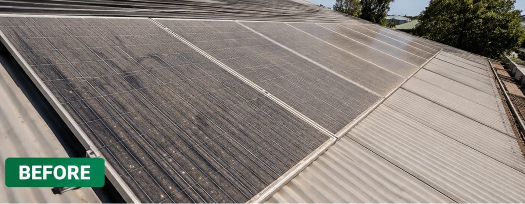 Solar Panel Cleaning Before