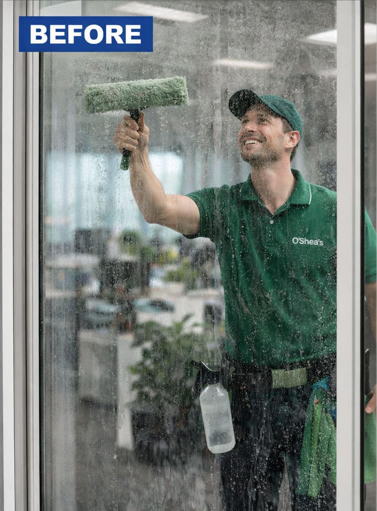 Window Cleaning Office Before