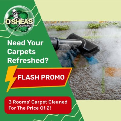 3 for 2 rooms carpets-cleaned