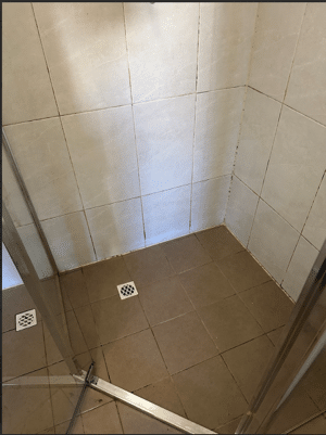 Shower grout clean After