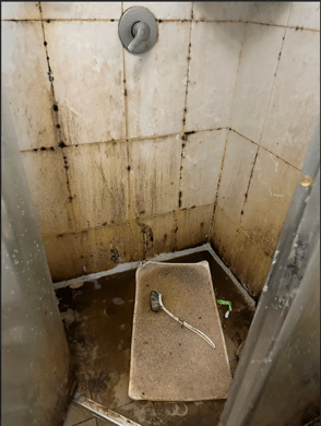 Shower grout clean before